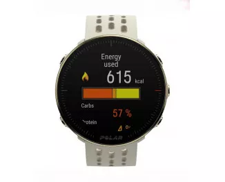 Спортивные часы Polar Vantage M2 Champagne S/L (90085161)