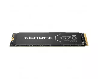 SSD накопитель 1 TB Team T-Force G70 Pro (TM8FFH001T0C129)