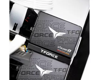 SSD накопитель 1 TB Team Vulcan Z (T253TZ001T0C101)