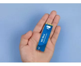 SSD накопичувач 1 TB WD Blue SA510 (WDS100T3B0B-00AXS0)