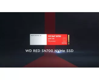 SSD накопичувач 1 TB WD SN700 Red (WDS100T1R0C)