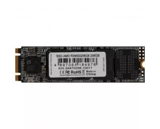 SSD накопитель 256Gb AMD Radeon R3 (R3MS0256G8)