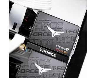 SSD накопитель 256Gb Team Vulcan Z (T253TZ256G0C101)