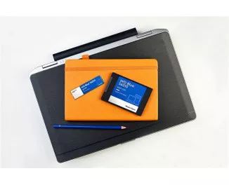 SSD накопитель 500Gb WD Blue SA510 (WDS500G3B0A)