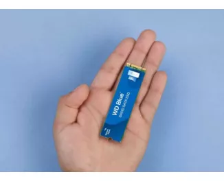 SSD накопичувач 500Gb WD Blue SA510 (WDS500G3B0B)