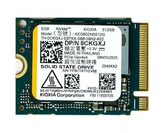 SSD накопичувач 512Gb Kioxia EG6 (KEG60ZNS512G)