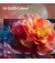 Телевизор Hisense 32A5S