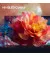 Телевизор Hisense 50E7S