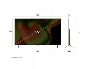 Телевизор LG OLED55B5