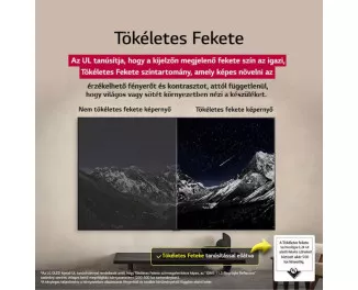 Телевизор LG OLED55B53LA