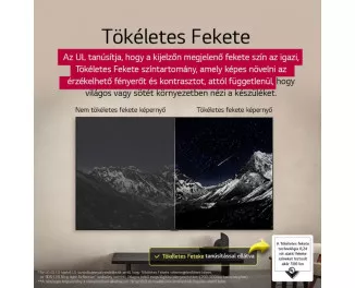 Телевизор LG OLED55G51LW