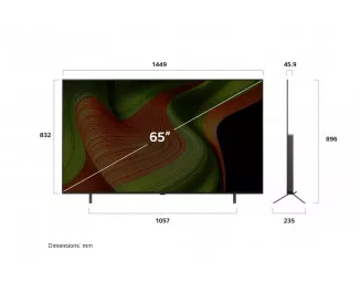 Телевизор LG OLED65B5