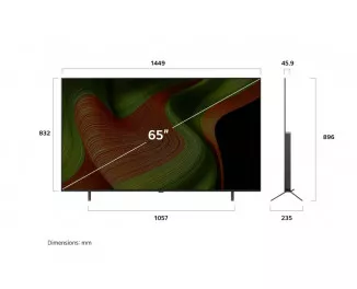 Телевизор LG OLED65B56LA
