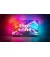 Телевизор PHILIPS 43PUS8919/12