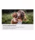 Телевизор Samsung QE42S90F SmartTV UA