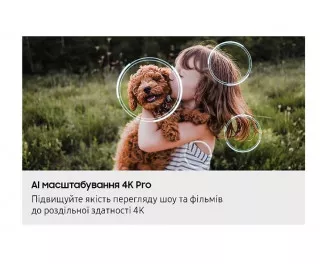 Телевизор Samsung QE55QN90FAUXUA