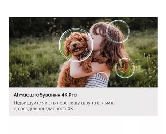 Телевизор Samsung QE75QN90FAUXUA