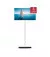 Телевизор Thomson Go TV 32HA4M44
