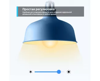 Умная светодиодная лампа TP-Link Tapo L510E N300 (TAPO-L510E)
