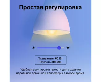Розумна світлодіодна лампа TP-Link Tapo L530E N300 (TAPO-L530E)