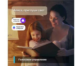 Розумна світлодіодна лампа TP-Link Tapo L530E N300 (TAPO-L530E)