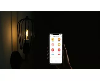 Розумна світлодіодна лампа Yeelight Smart Filament Bulb E27 (YLDP12YL)