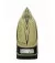 Утюг Zelmer ZIR2620 GoldenGlide