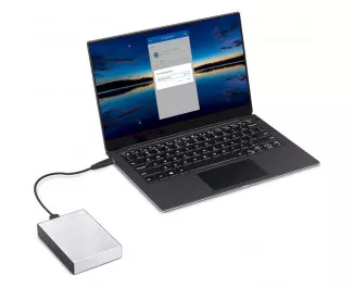 Внешний жесткий диск 4 TB Seagate One Touch with Password Silver (STKZ4000401)