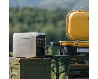 Зарядная станция EcoFlow DELTA 3 Plus (EF_DELTA3Plus) EU