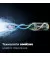 Зубна електрощітка PHILIPS Sonicare 7100 Series HX7421/01